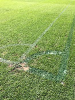 1443524795_923843_1443524955_noticia_grande