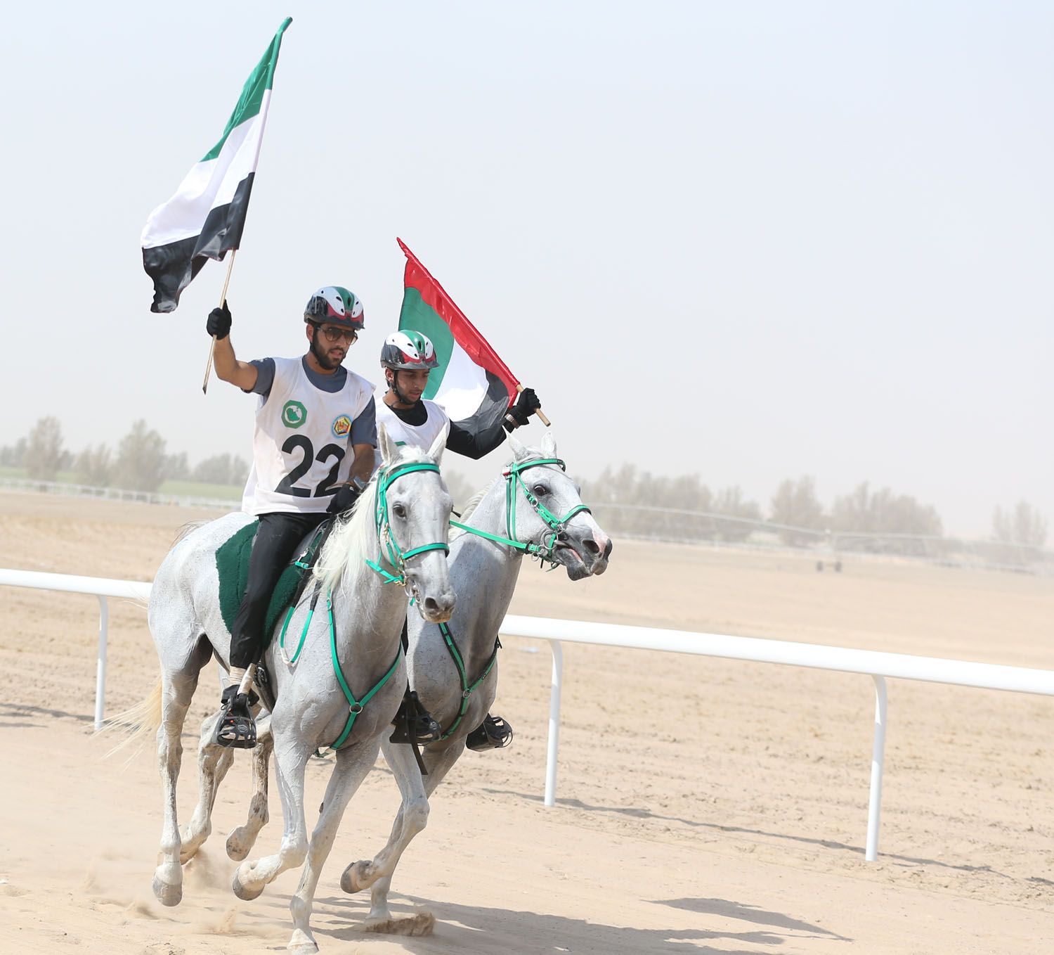 فرسان الإمارات عقب الفوز