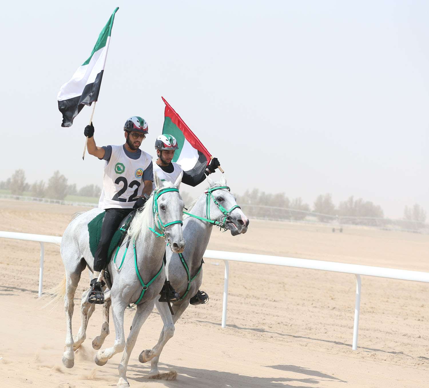 فرسان الإمارات عقب الفوز