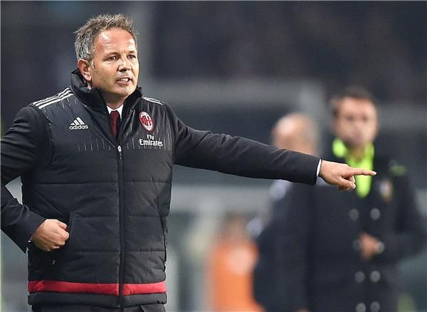 سينيسا ميهايلوفيتش 