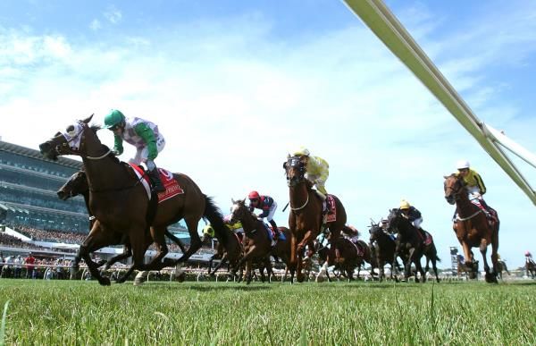 2015-11-03t055515z_1511036239_gf20000043707_rtrmadp_3_horse-racing-australia_reuters