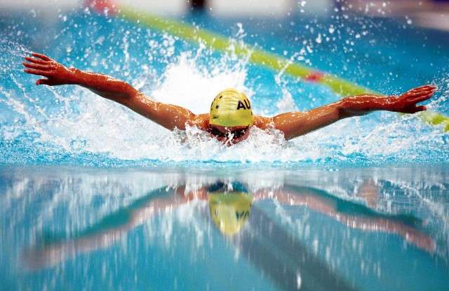 fina swimming world cup