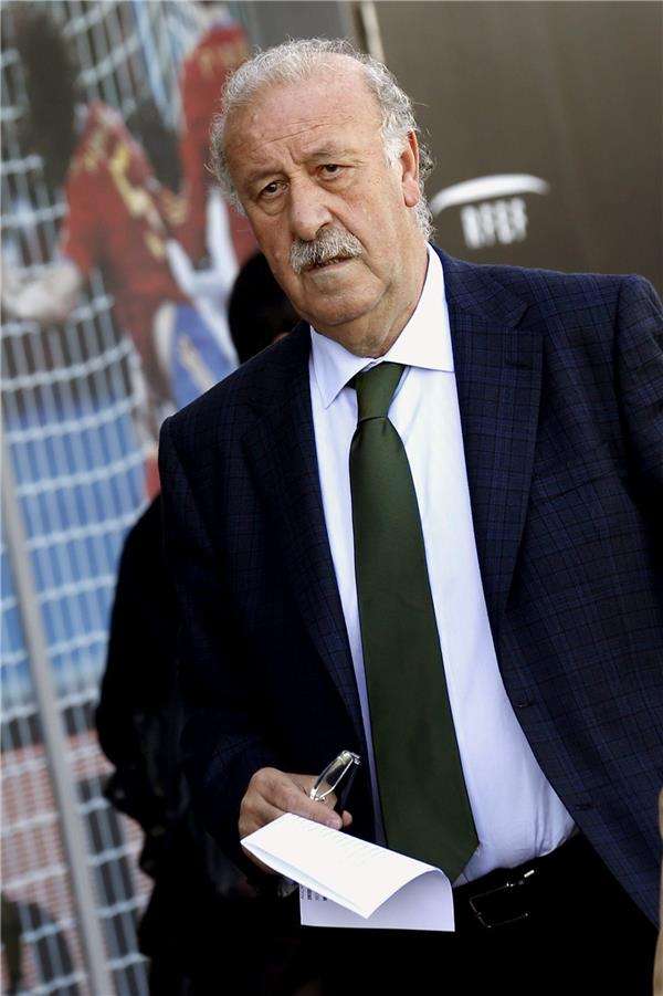 فيسنتي ديل بوسكي