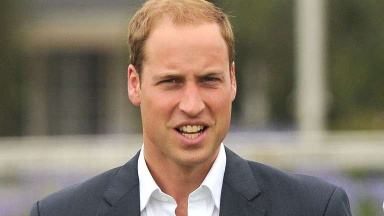 10005092610011634117336001bioiographyprincewilliamsfryrty545r4yr