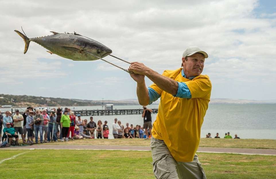 tuna