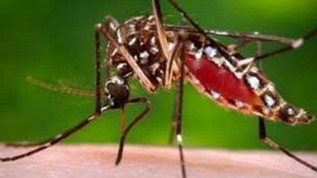 160128122011_zika_virus_640x360_uscdc_nocredit