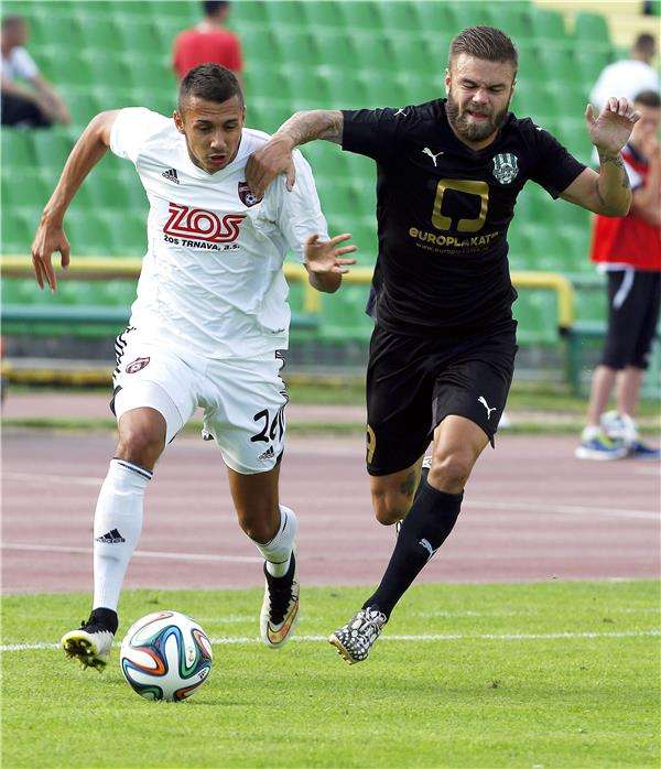 البوسني داليبور يميناً