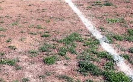 لقظة من ارضية استاد الأمير هاشم 