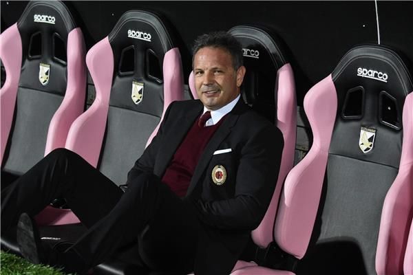  سينسا ميهالوفيتش