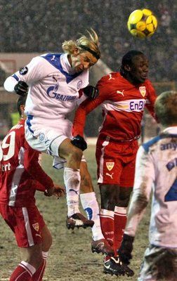 2009-02-19-00000301639886