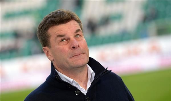 ديتر هيكينغ