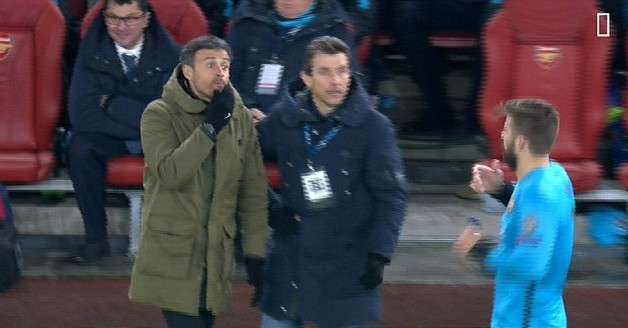 pique11