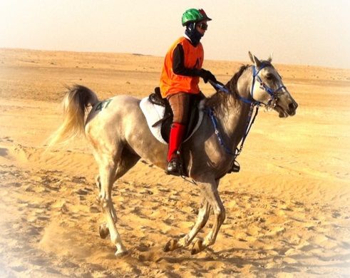 الفارسة لمياء الصيقل في إحدى المسابقات المحلية