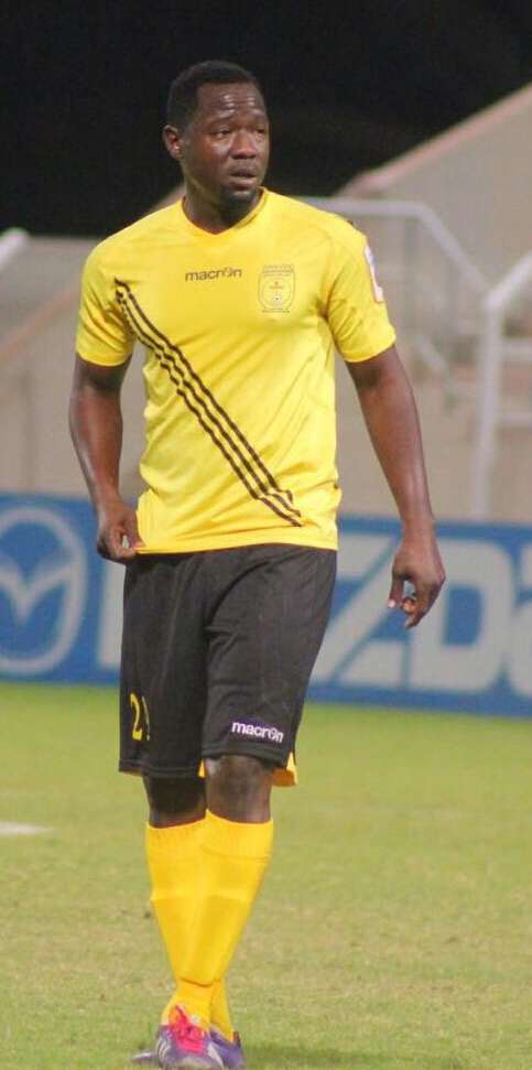 سامي الأمين 