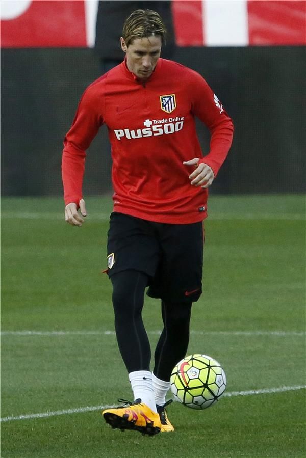 فرناندو توريس