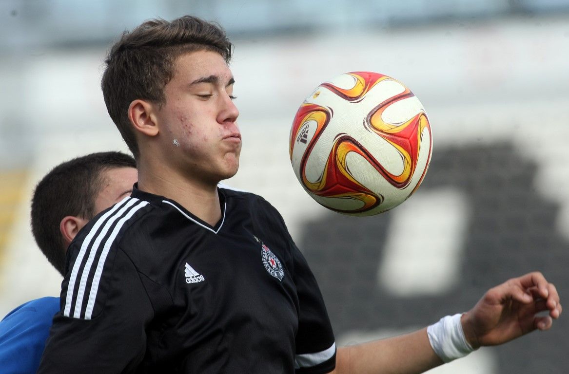 ديسان فالهوفيتش	