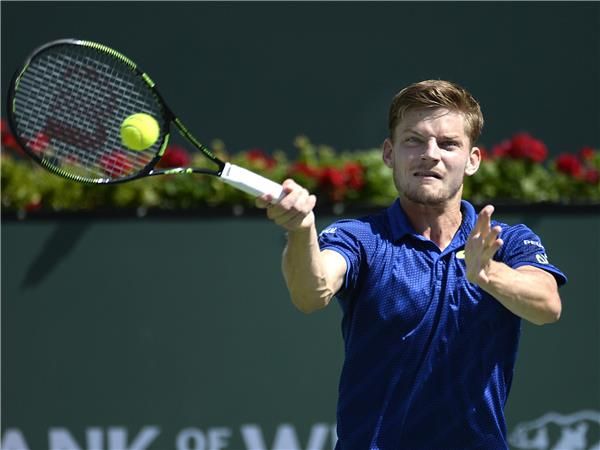 ديفيد جوفين 