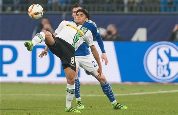 محمود داوود 