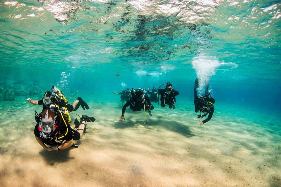 diving