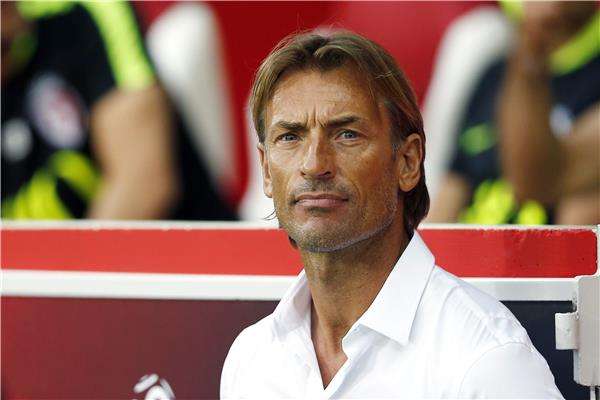 هيرفي رينارد