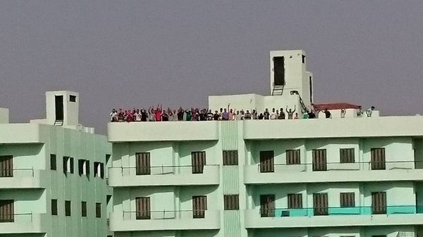 13043340_10153341195811580_1372923707341099361_n (2)