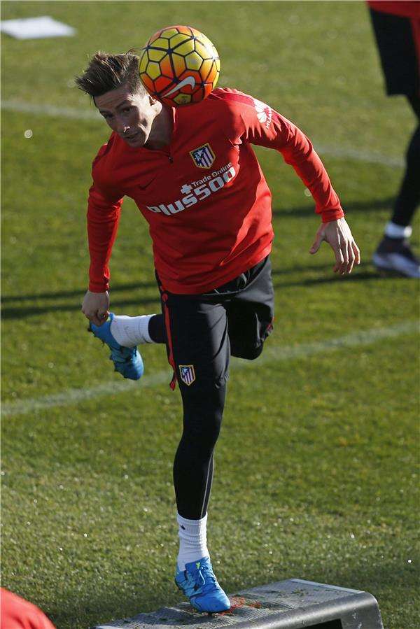 فرناندو توريس