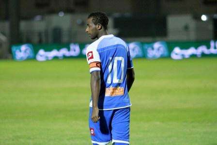 ربيع سفياني 