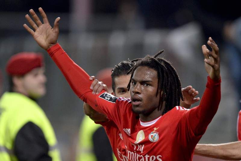 ريناتو سانشيز