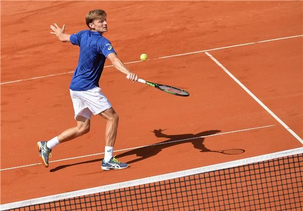 ديفيد جوفين