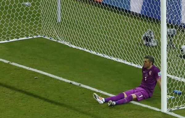 ستيبي بليتيكوسا