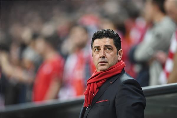 روي فيتوريا 