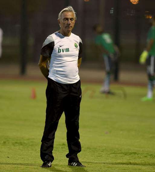 بيرت مارفيك