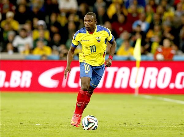 والتر أيوفي