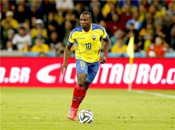 والتر أيوفي