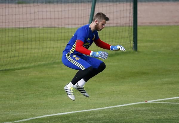 دافيد دي خيا