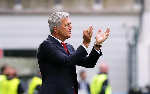  فلاديمير بيتكوفيتش 