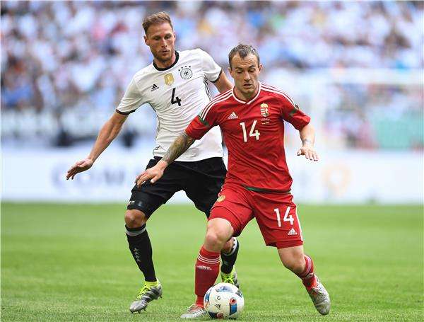 جيرجو لوفرينكسيكس