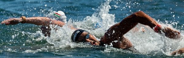 اسامة الملولي 