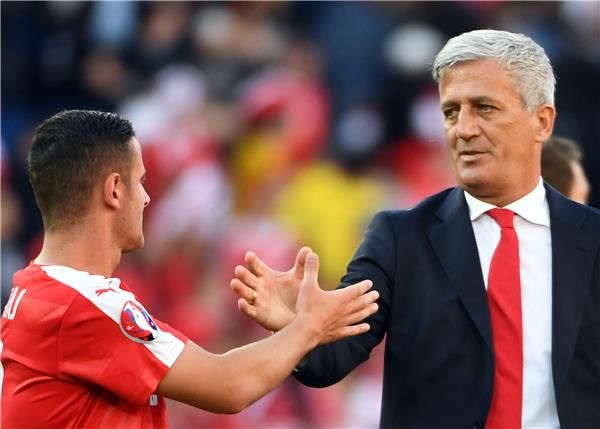 فلادمير بيتكوفيتش