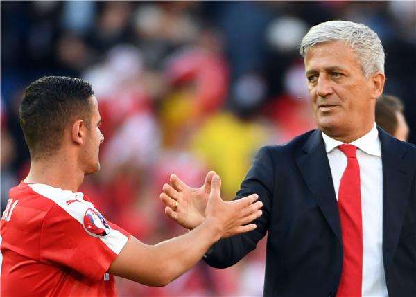 فلادمير بيتكوفيتش