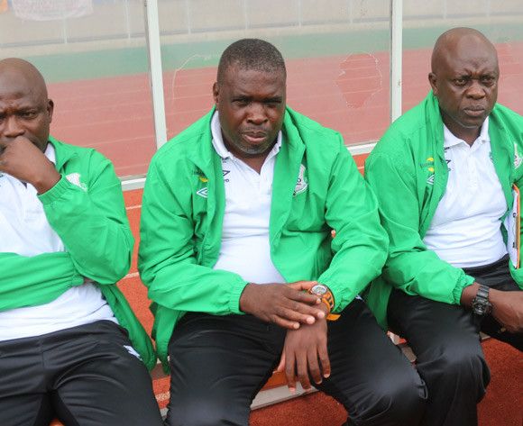 جورج لواندامينا مدرب زيسكو