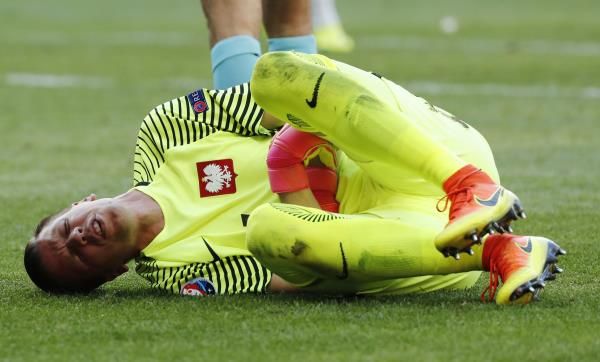 فوجيتش تشيسني