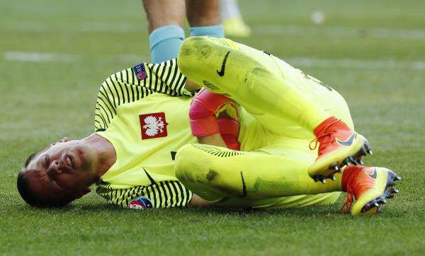 فوجيتش تشيسني