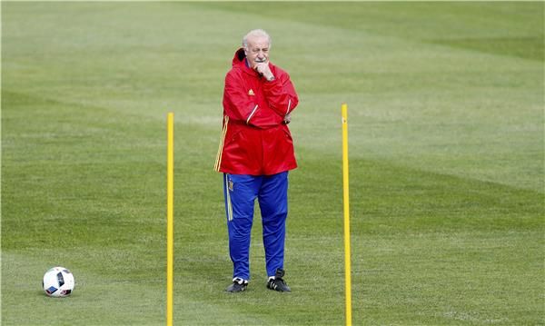 فيسنتي ديل بوسكي