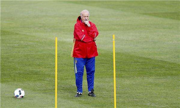 فيسنتي ديل بوسكي