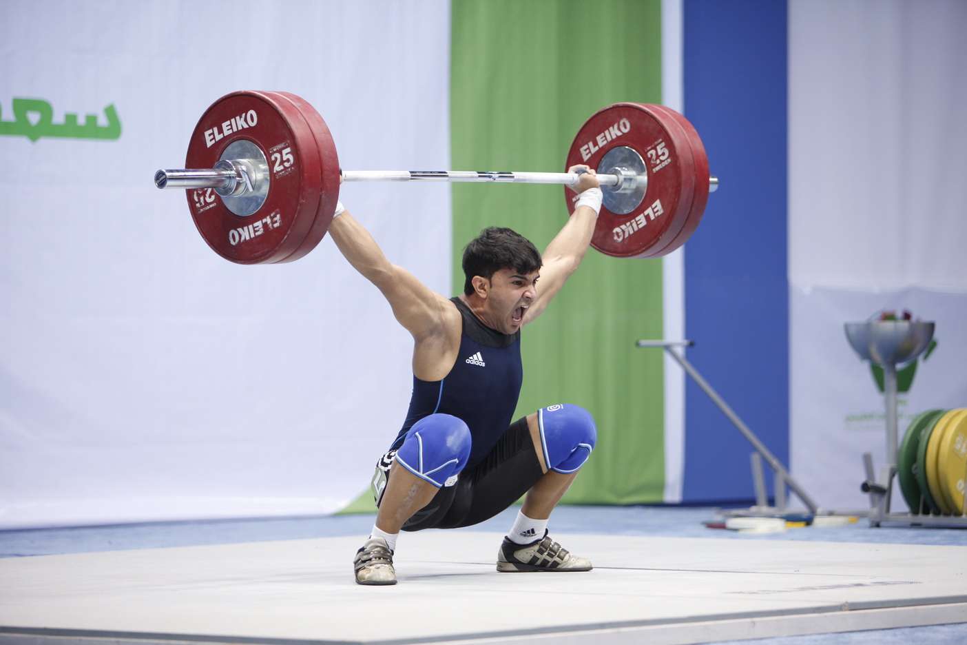 محسن الدحيلب 