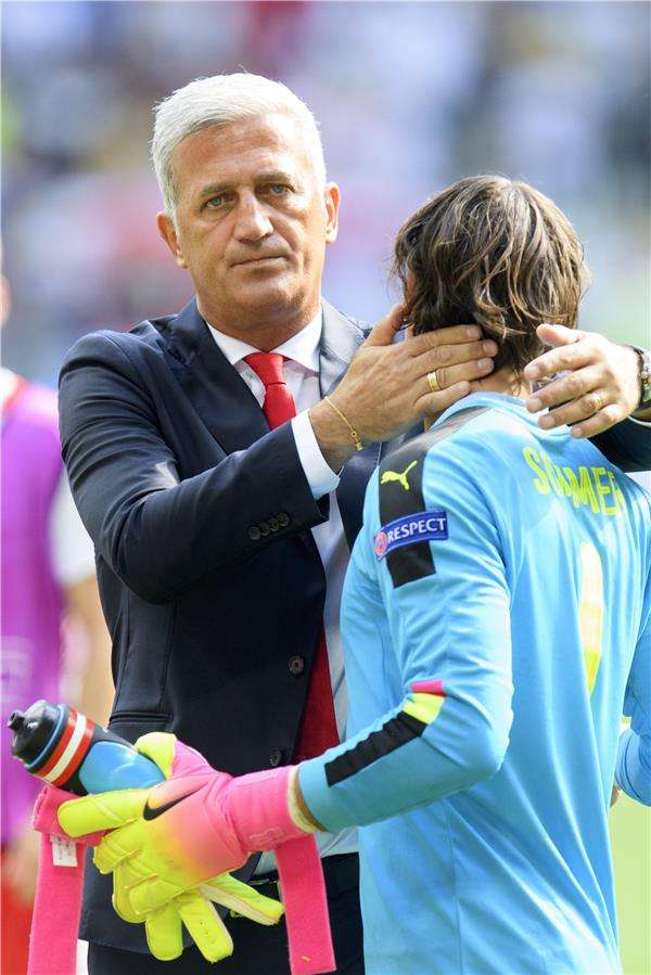 فلادمير بيتكوفيتش