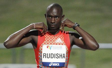 ديفيد روديشا