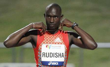 ديفيد روديشا