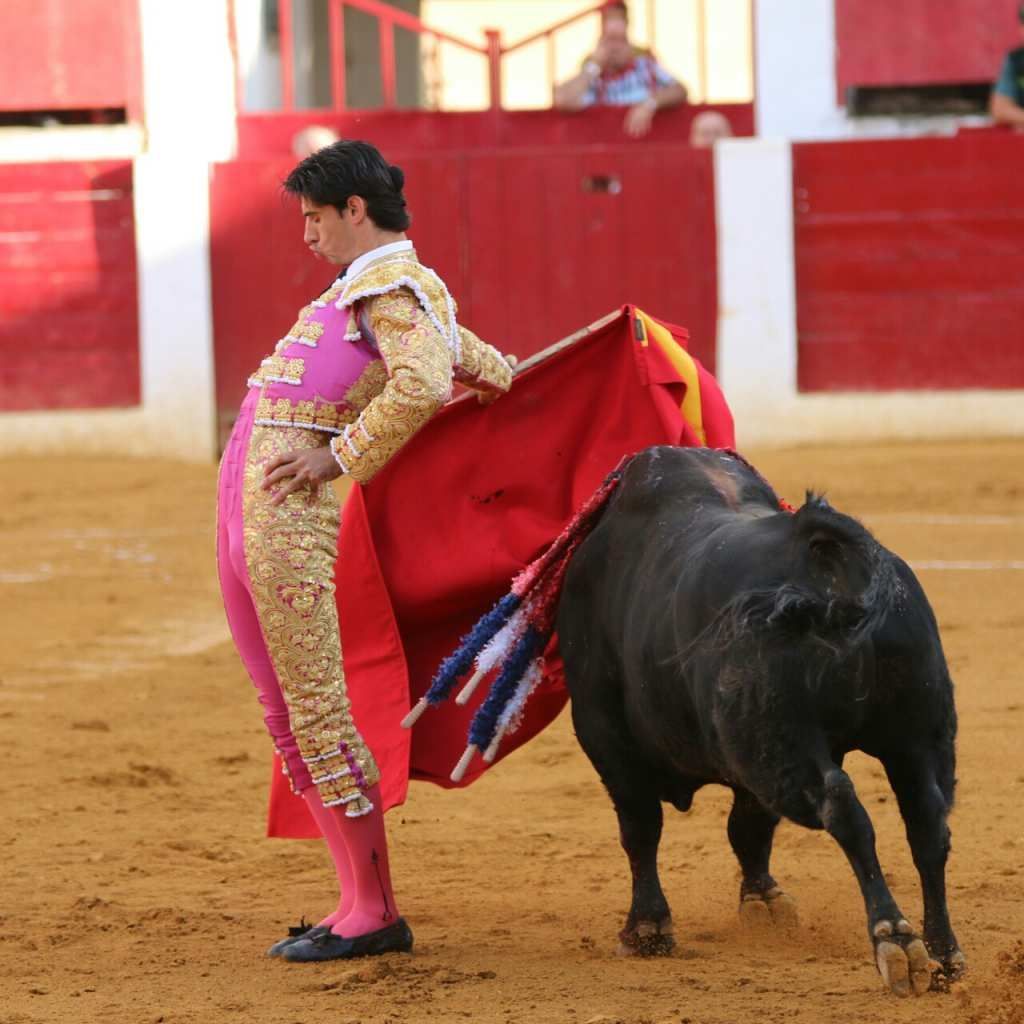 فيكتور باريو